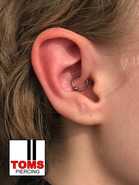 Daithpiercing5.jpg