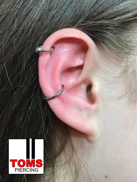 Conchpiercing11.jpg