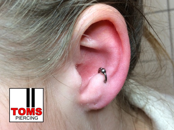 Antihelixpiercing3.jpg