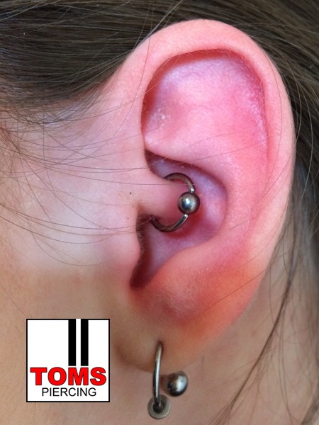 Daithpiercing2.jpg