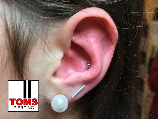 Conchpiercing7.jpg